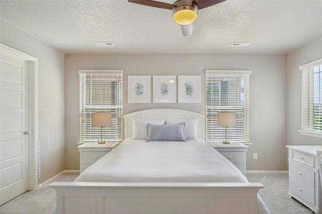 4438 Sidewinder Loop, Castle Rock, CO 80108