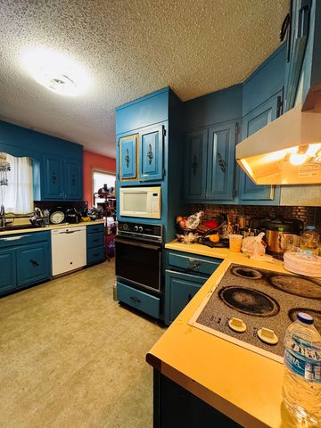 732 Green Road, Chatsworth, GA 30705