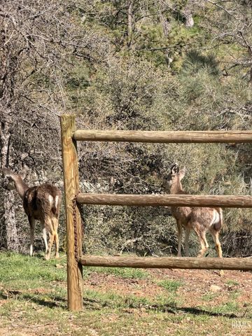20313 Rex Drive, Tehachapi, CA 93561