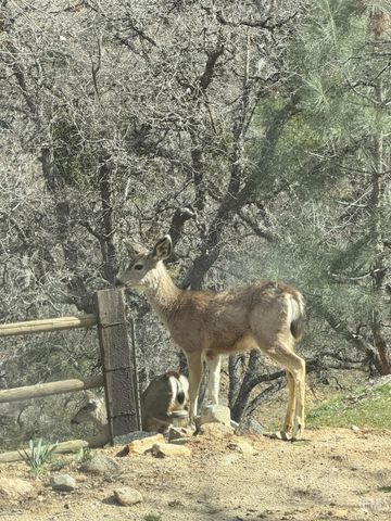20313 Rex Drive, Tehachapi, CA 93561