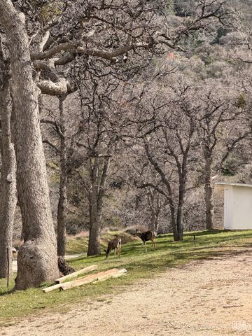 20313 Rex Drive, Tehachapi, CA 93561
