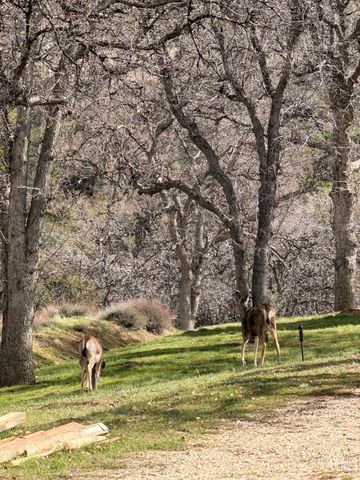 20313 Rex Drive, Tehachapi, CA 93561