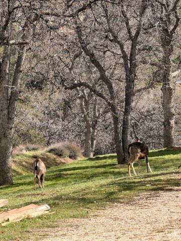 20313 Rex Drive, Tehachapi, CA 93561