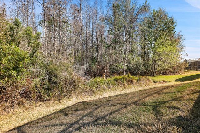 20907 DIAMONTE DRIVE, Land O Lakes, FL 34637