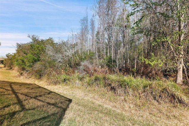 20907 DIAMONTE DRIVE, Land O Lakes, FL 34637