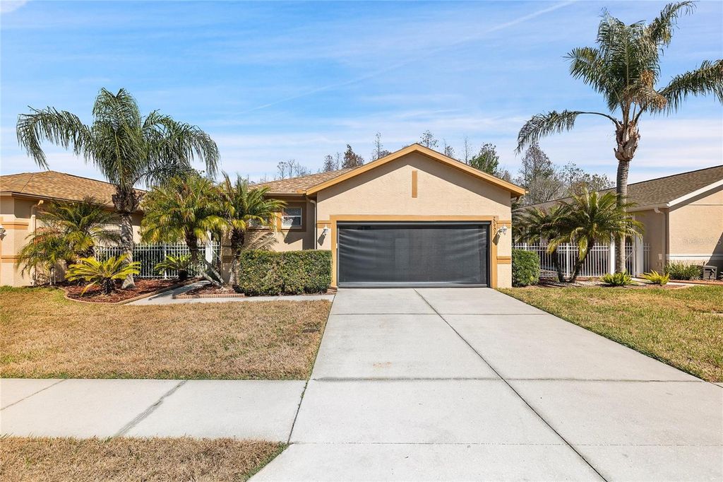 20907 DIAMONTE DRIVE, Land O Lakes, FL 34637