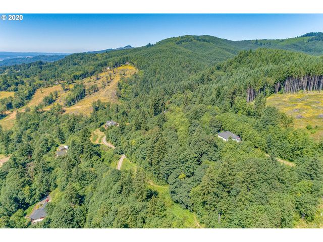 375 Hansen Ext Rd, Woodland, WA 98674