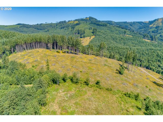 375 Hansen Ext Rd, Woodland, WA 98674