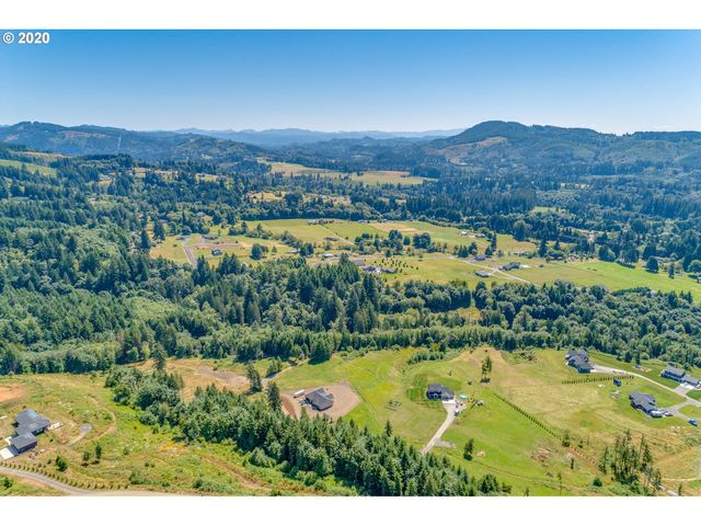 375 Hansen Ext Rd, Woodland, WA 98674