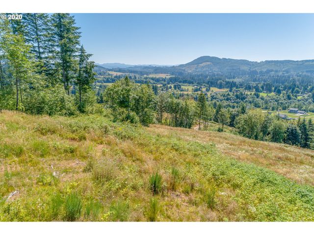 375 Hansen Ext Rd, Woodland, WA 98674