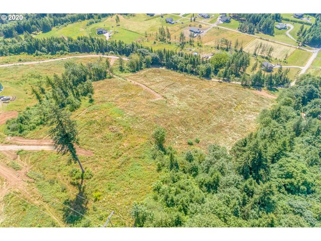 375 Hansen Ext Rd, Woodland, WA 98674