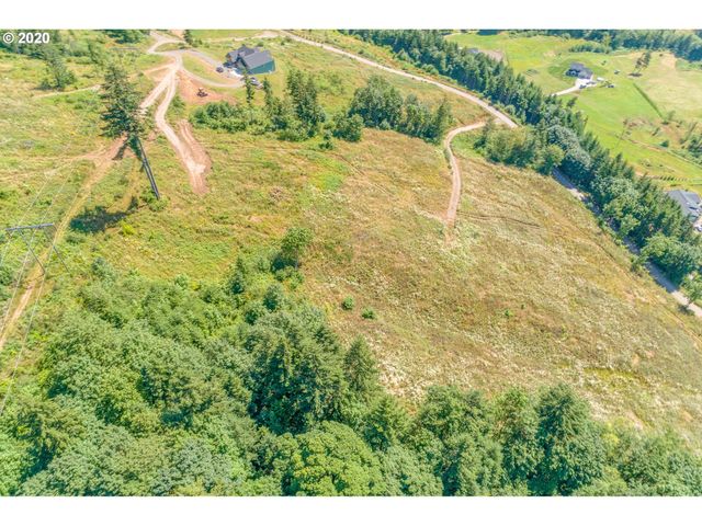 375 Hansen Ext Rd, Woodland, WA 98674