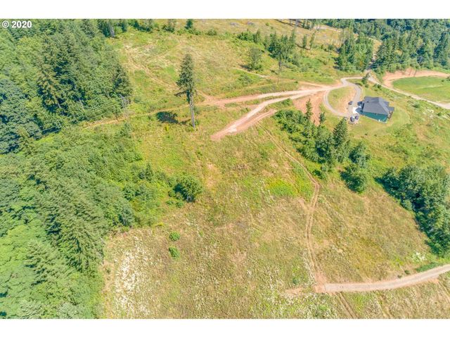 375 Hansen Ext Rd, Woodland, WA 98674