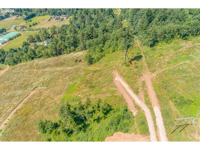 375 Hansen Ext Rd, Woodland, WA 98674