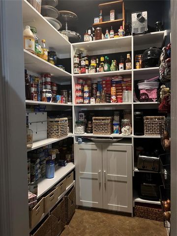 10909 MATTIODA ROAD, Groveland, FL 34736