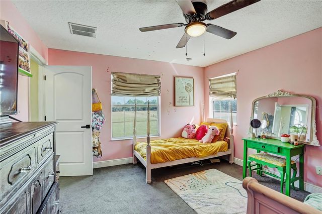 10909 MATTIODA ROAD, Groveland, FL 34736