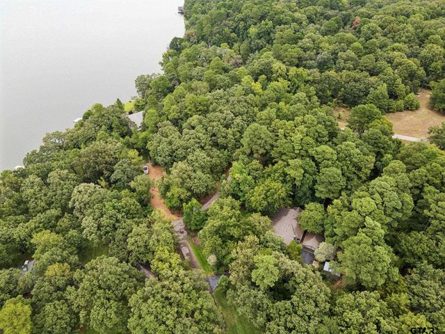 45 Lakeview Drive, Scroggins, TX 75480