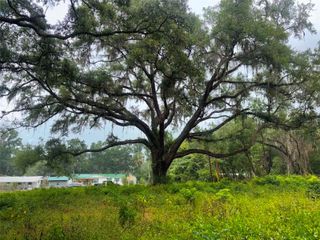 6360 SE 145TH PLACE, Summerfield, FL 34491