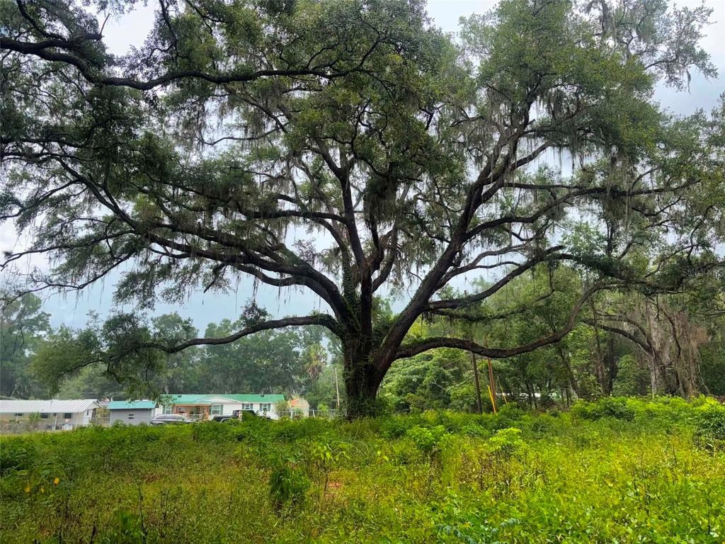 6360 SE 145TH PLACE, Summerfield, FL 34491