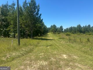 1000 Millen Hiltonia Road, Sylvania, GA 30467