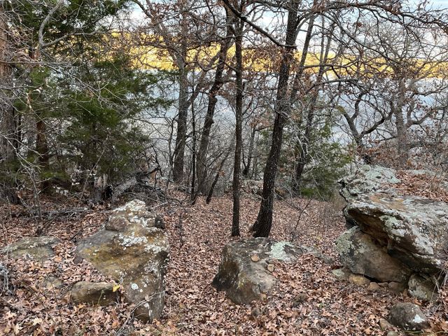 0 Scenic Hill Drive, Bowie, TX 76230