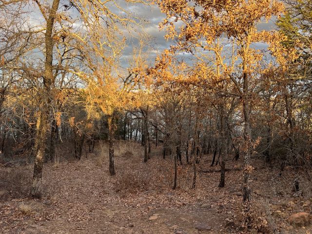 0 Scenic Hill Drive, Bowie, TX 76230