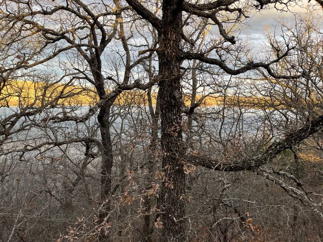 0 Scenic Hill Drive, Bowie, TX 76230