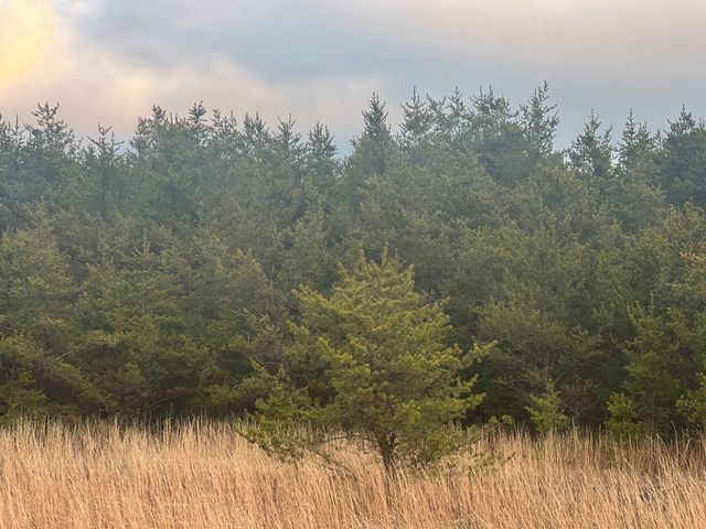 2214 E 56th Street, Yates Twp, MI 49623