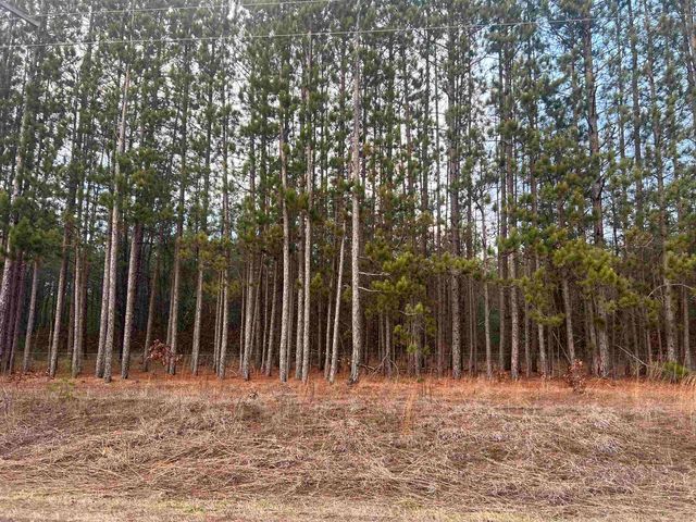 2214 E 56th Street, Yates Twp, MI 49623