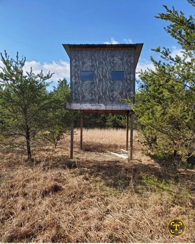 2214 E 56th Street, Yates Twp, MI 49623