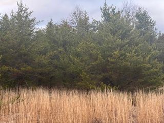 2214 E 56th Street, Yates Twp, MI 49623