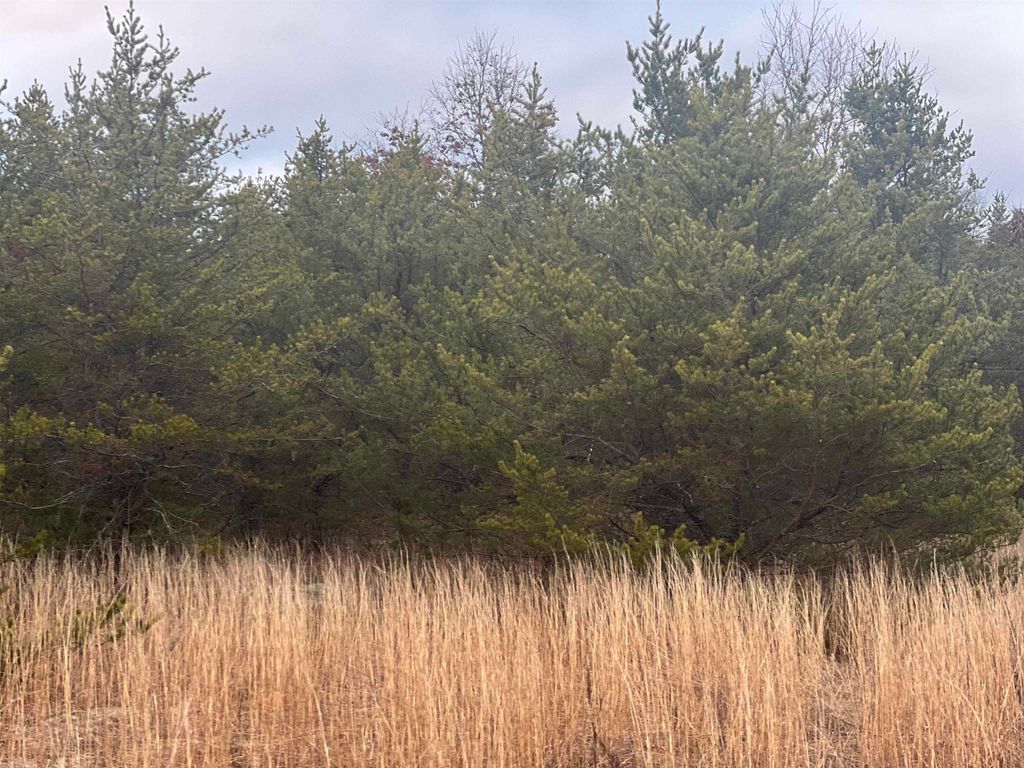 2214 E 56th Street, Yates Twp, MI 49623