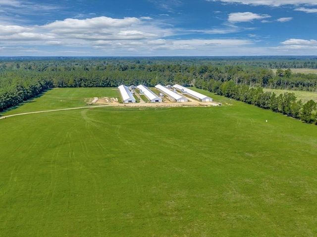 19387 Fm 1818, Huntington, TX 75949