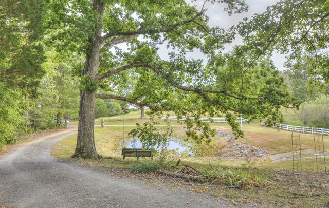 241 Glen Holliday Rd, Indian Mound, TN 37079