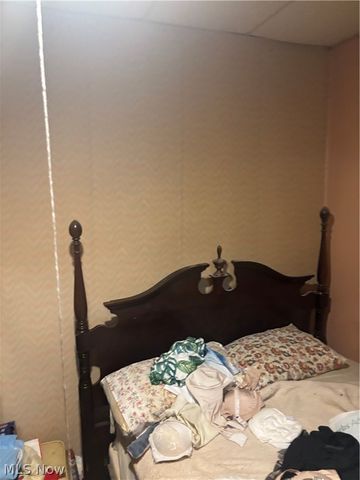 4096 E 66th Street, Cleveland, OH 44105