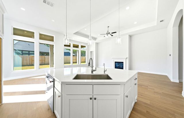 9726 Roaring River Falls Lane, Porter, TX 77365