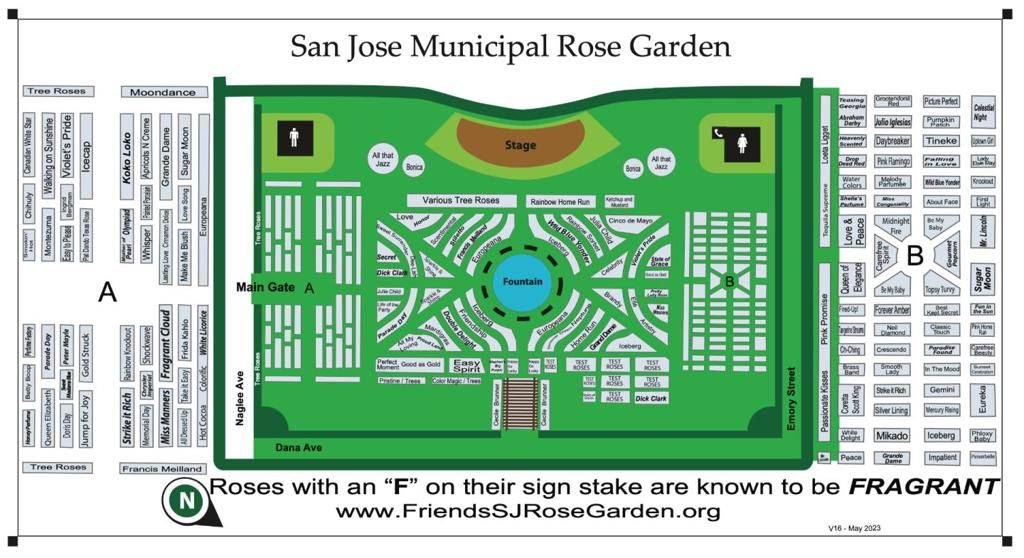 1567 Mcdaniel Avenue, San Jose, CA 95126