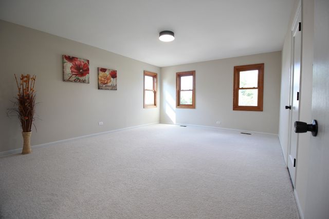 8247 W Wintergreen Drive, Frankfort, IL 60423