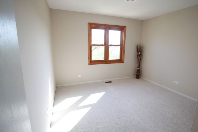 8247 W Wintergreen Drive, Frankfort, IL 60423