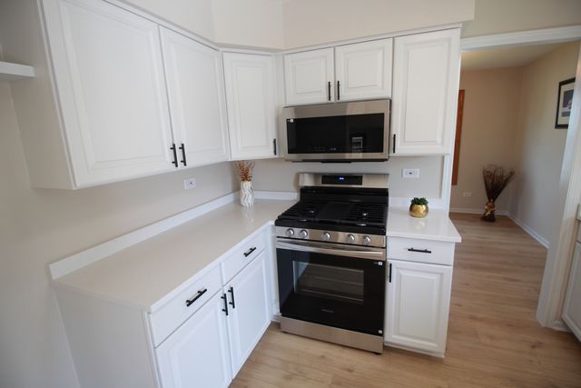 8247 W Wintergreen Drive, Frankfort, IL 60423