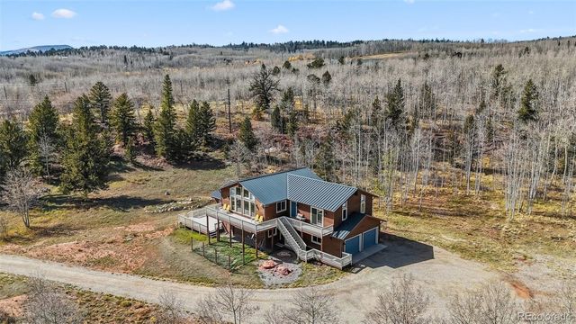 174 Skid Court, Fairplay, CO 80440