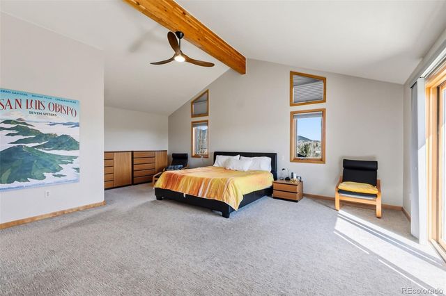 174 Skid Court, Fairplay, CO 80440