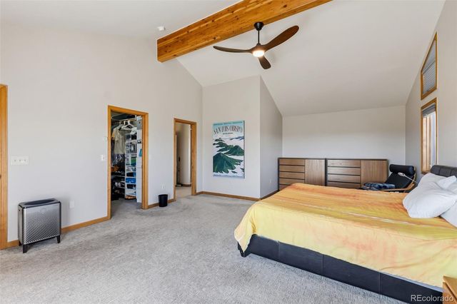 174 Skid Court, Fairplay, CO 80440