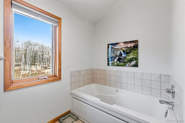 174 Skid Court, Fairplay, CO 80440