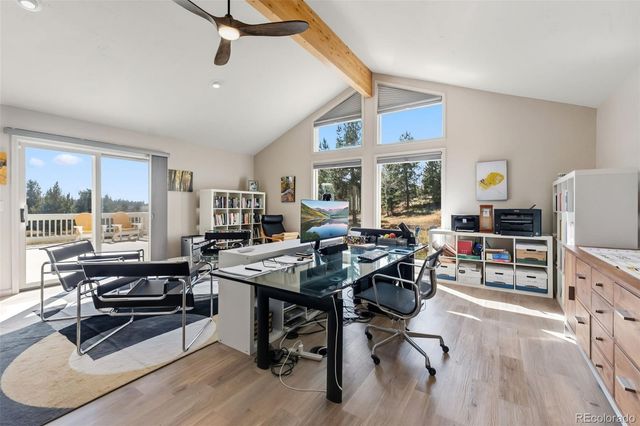 174 Skid Court, Fairplay, CO 80440