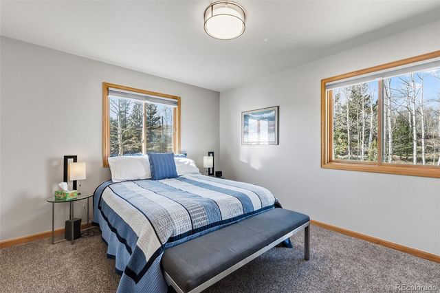 174 Skid Court, Fairplay, CO 80440