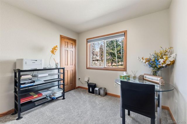 174 Skid Court, Fairplay, CO 80440