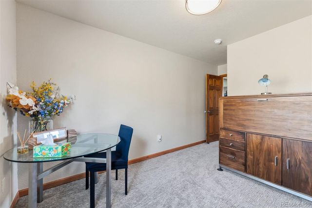 174 Skid Court, Fairplay, CO 80440