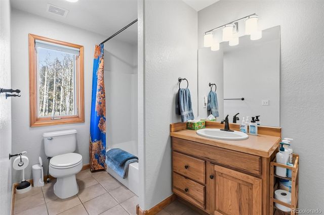 174 Skid Court, Fairplay, CO 80440