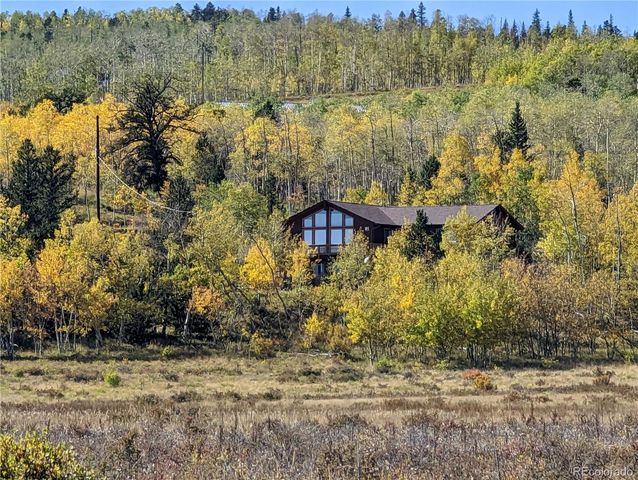 174 Skid Court, Fairplay, CO 80440